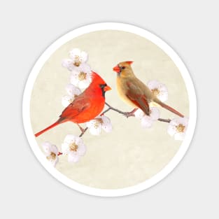 Northern Cardinal Birds Magnet